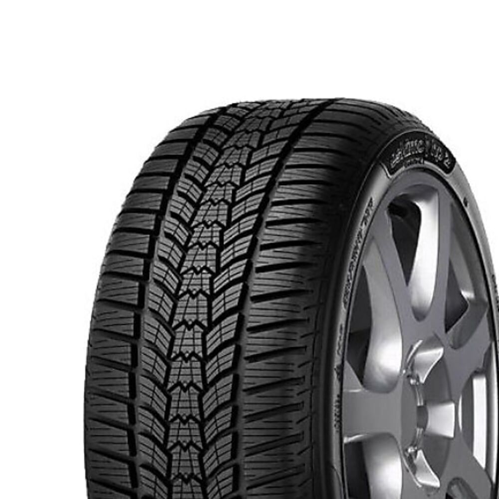 225/50R17 98V XL M+S Eskimo HP2