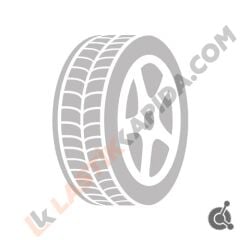 255/45R20 101T Ventus S1 evo3 ev K127E Seal Guard (Sealant), EV AO , ID