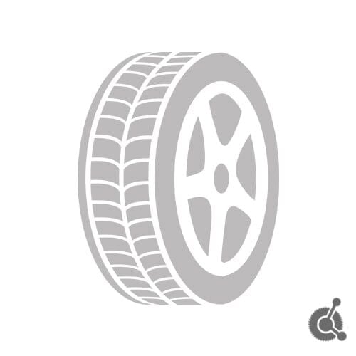 195/55R16 87H EfficientGrip Performance