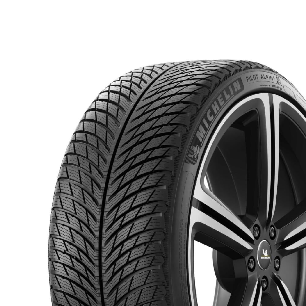255/35R21 98W XL Pilot Alpin 5
