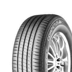 295/35R21 107Y XL Competus H/P 2
