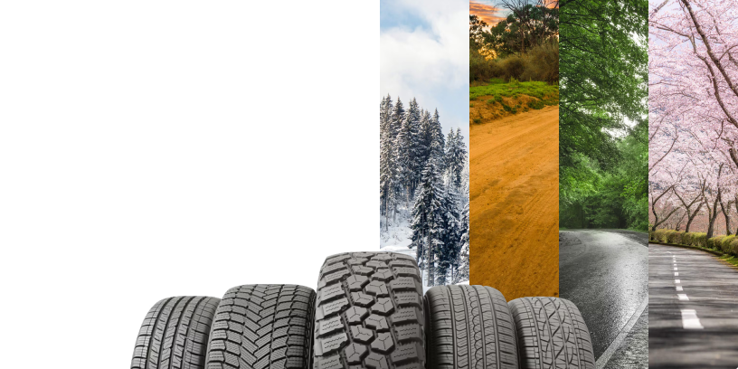 15 Nisan 2025 – 15 Haziran 2025 tarihleri arasında, 